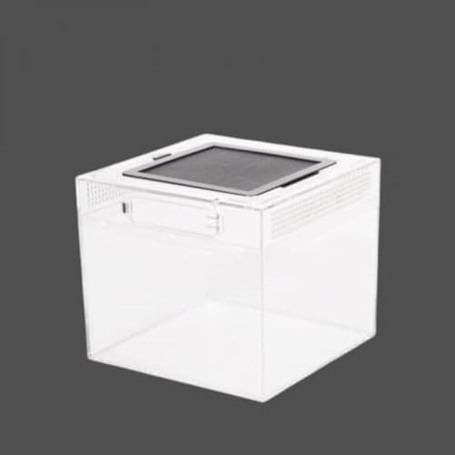 ケージ 鳥 50cm」の人気商品一覧 | 安い商品を通販サイトから